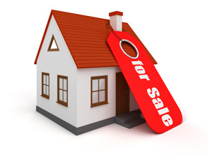 Property sales increased in Feb 2016